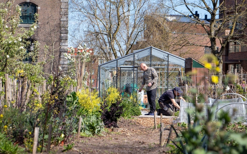 Een overzichtsfoto van de moestuin waar docent Bas aan het werk is.