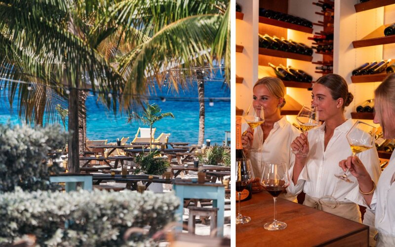 Twee afbeeldingen met links een tropisch beeld van het zandstrand en palmbomen en rechts drie stagiaires tijdens een wijnproeverij.